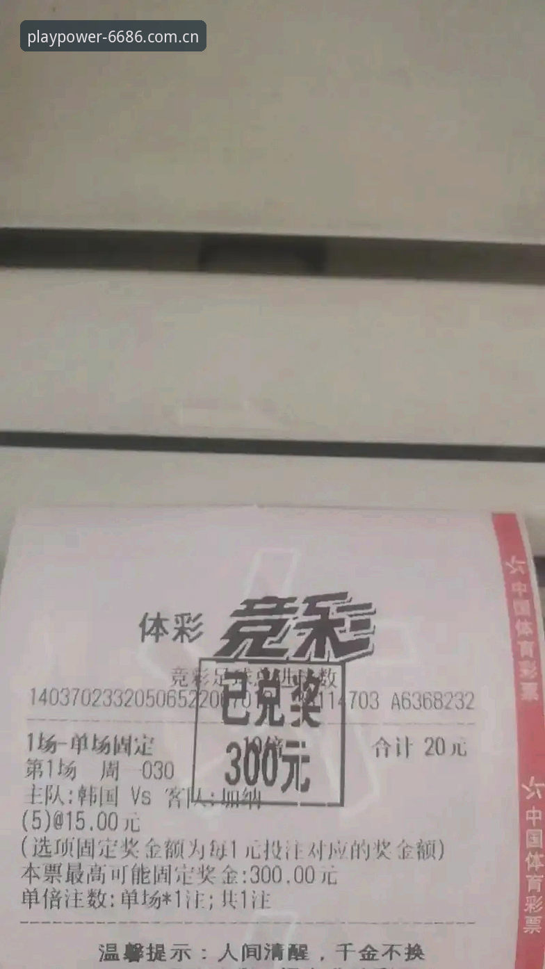 掌握6686体育平台手机版使用的实用指南：下载、安装与竞猜全攻略