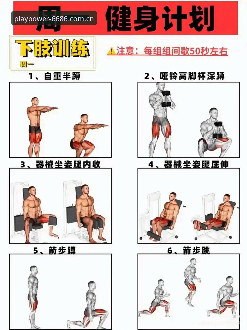7步快速上手6686体育平台：老用户教你从零玩出超实力